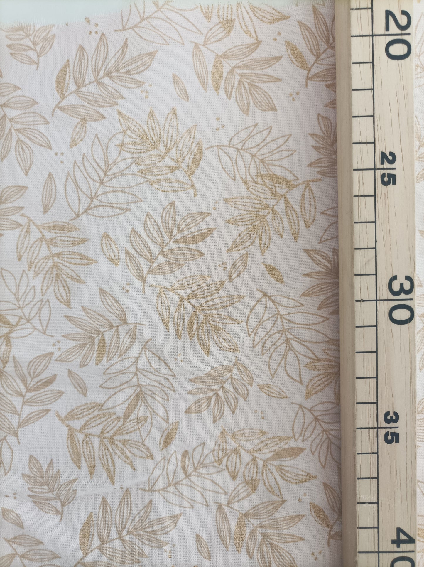 CLINTONIE FEUILLAGE DORE E6071